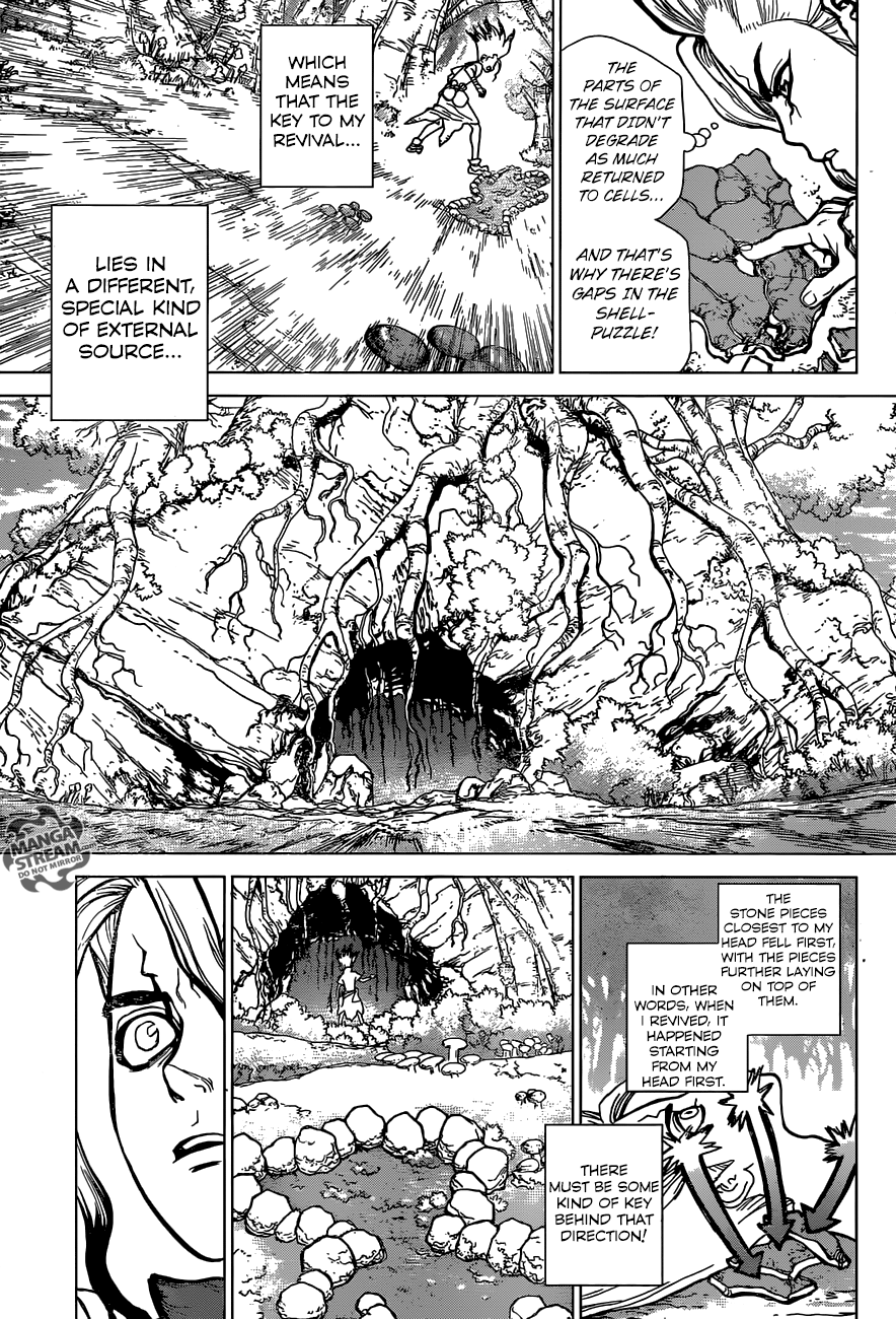 Dr. Stone Chapter 14 9